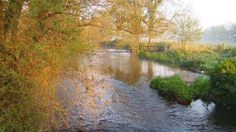 River-Frome-Moreton-Dorset-fly-fishing-3