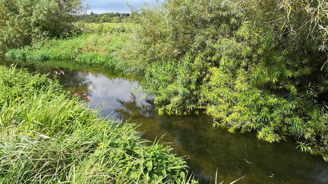 River-Frome-Dorset-3