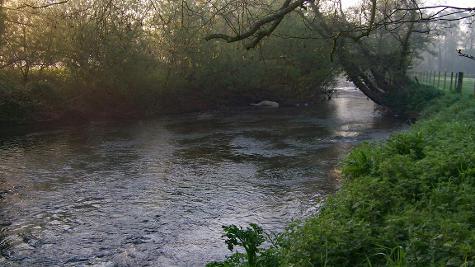 River-Frome-Moreton-Dorset-fly-fishing-1