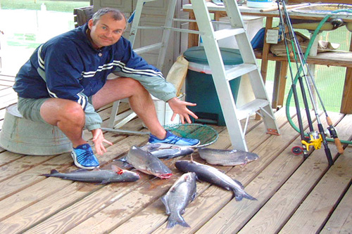 Colin-Jarman CatFish Tennessee River fly fishing