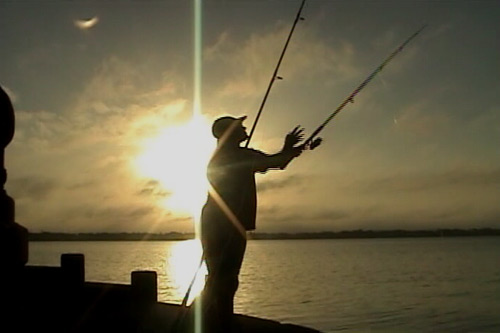 Colin-Jarman Fishing-Sun-Casting Tampa Bay Florida
