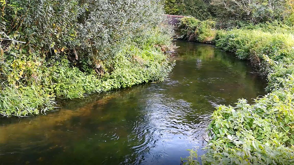 River-Frome-Dorset-2
