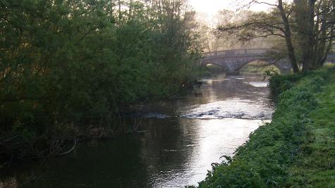 River-Frome-Moreton-Dorset-fly-fishing-2