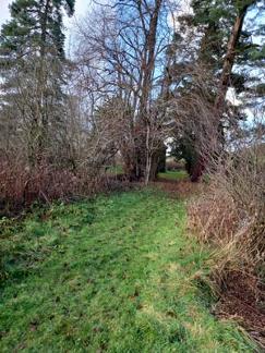 River-Dove-Approach-to-Fishing-House-Walton-Cotton